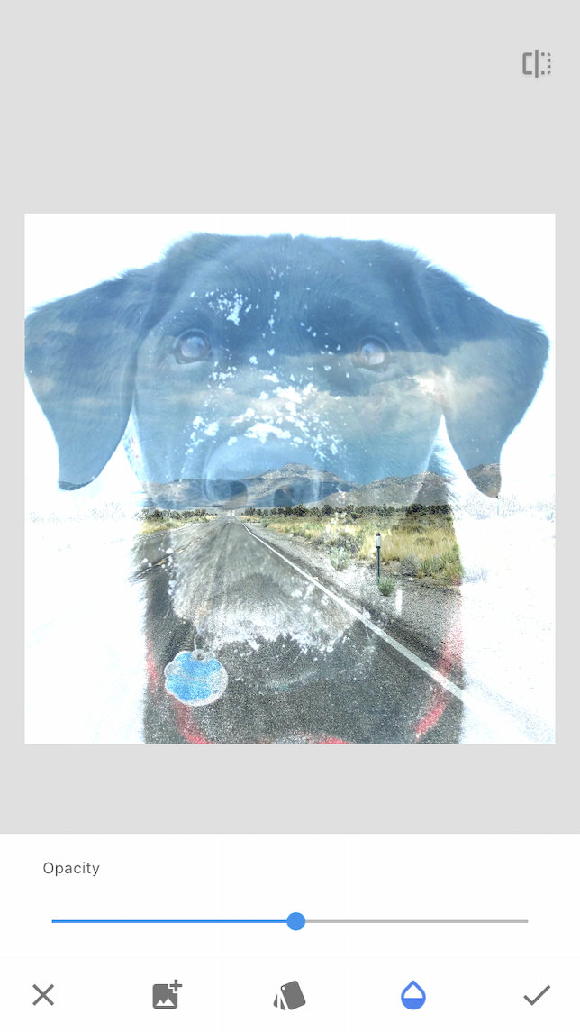 Una imagen completa de doble exposición de un perro y un paisaje creado en Snapseed.